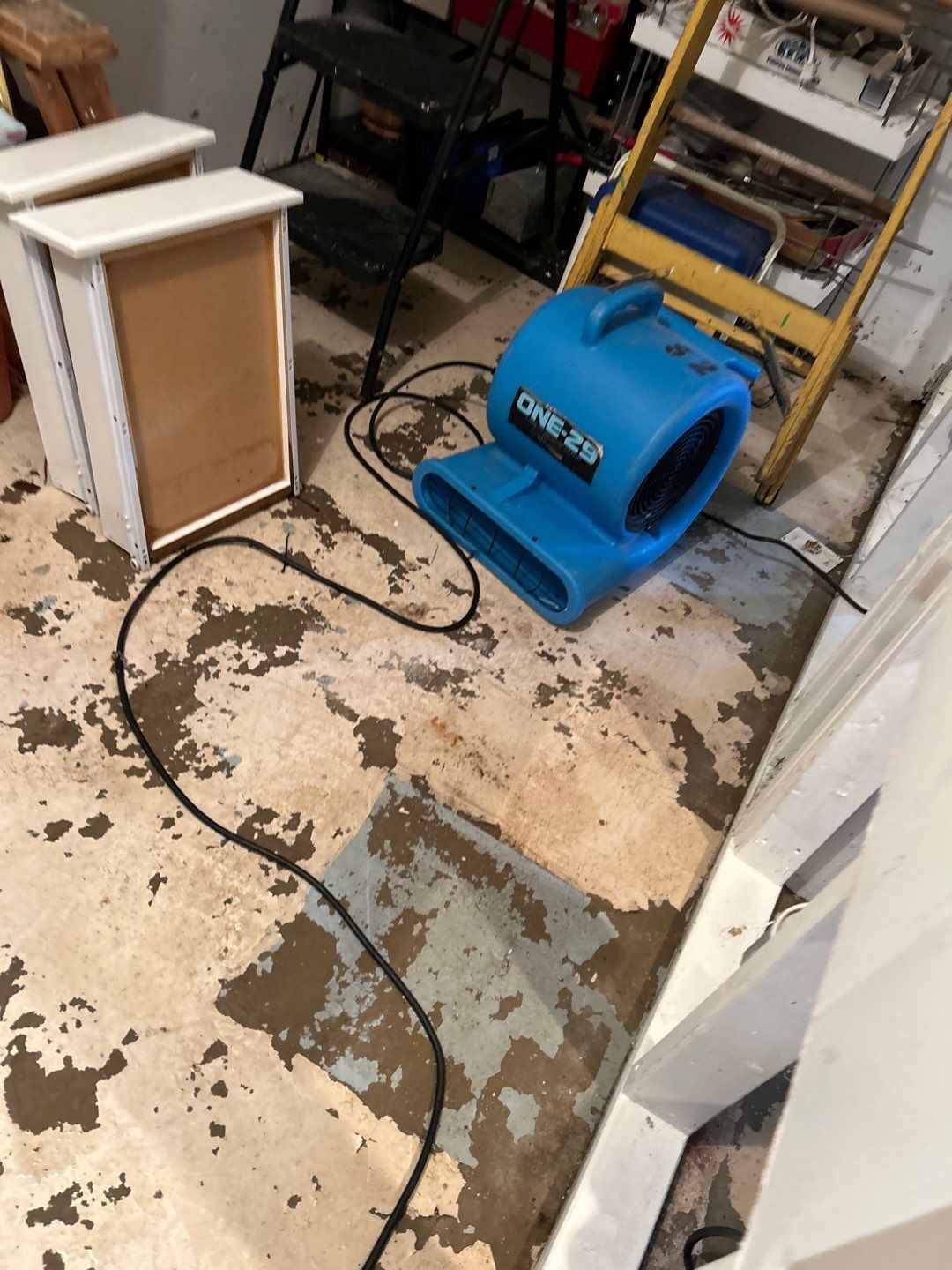 Water Damage Project in Conifer by Accountable Home Services