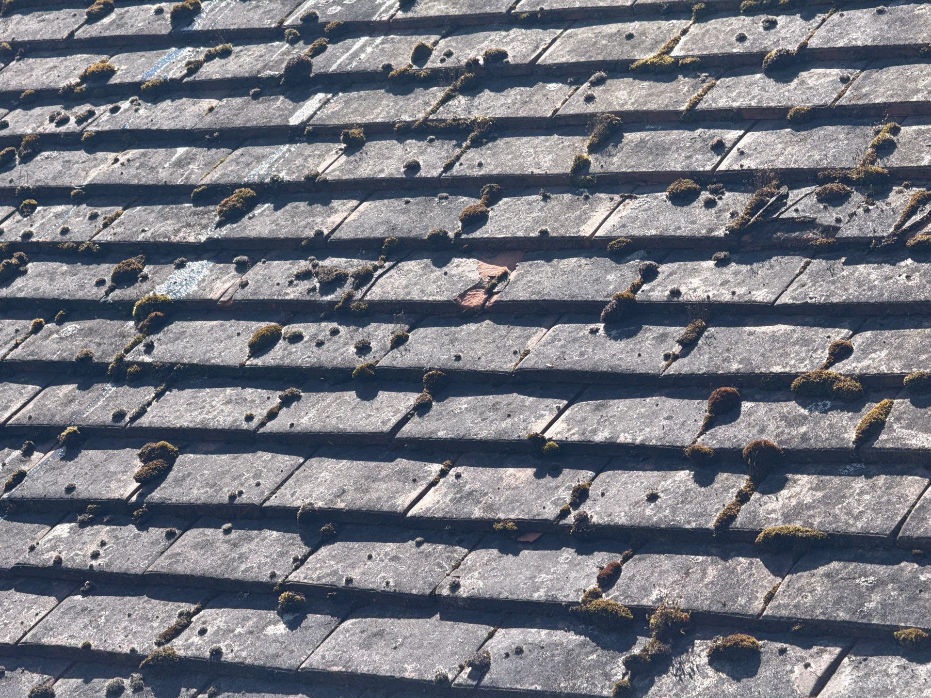 Roof Cleaning Epsom Downs by Ges Exterior Cleaning ltd