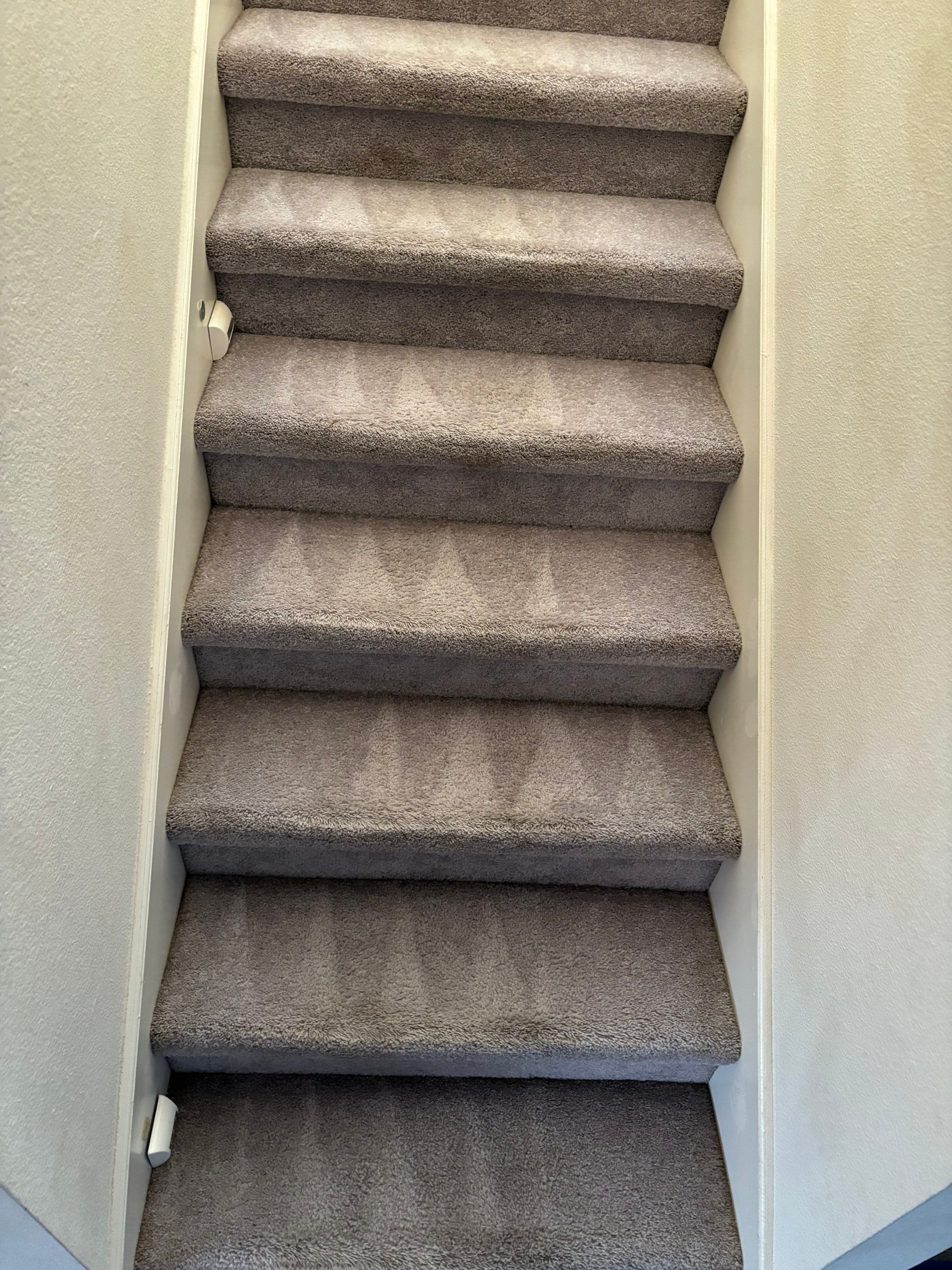 the photo shows carpet cleaning on stairs with visible clean and dirty patterns indicating recent professional cleaning service