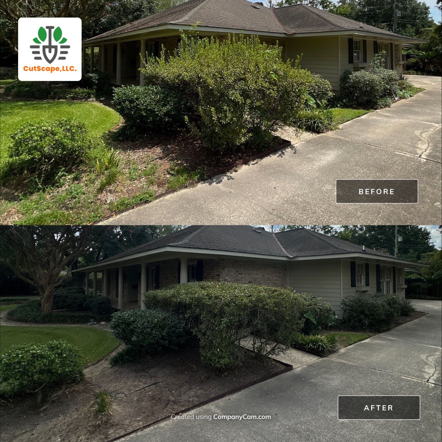 HERBICIDE / CLEAN OUT / TRIM / BRUSH DEBRIS REMOVAL using BRUSH REMOVAL / PROPERTY CLEAN UP LABOR by CutScape, LLC.