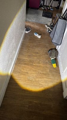 Project in Aurora