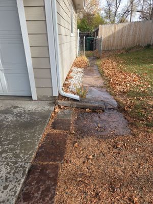 Gutter and Downspout Cleaning