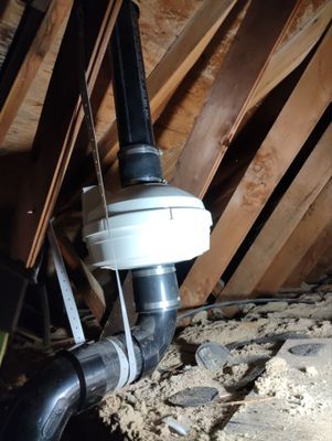 Project in Portland