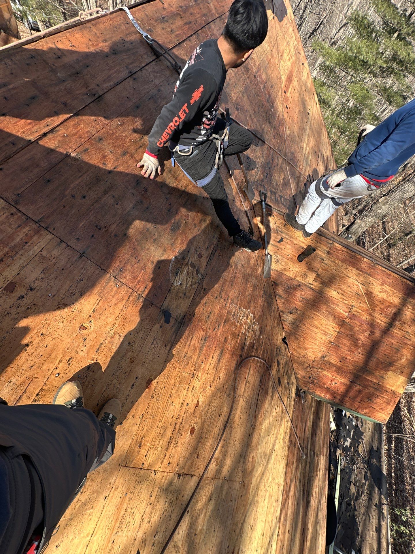 Architectural Shingle Roof Replacement in Westminster, MD • Nancy R. by Seipp Roofing, LLC