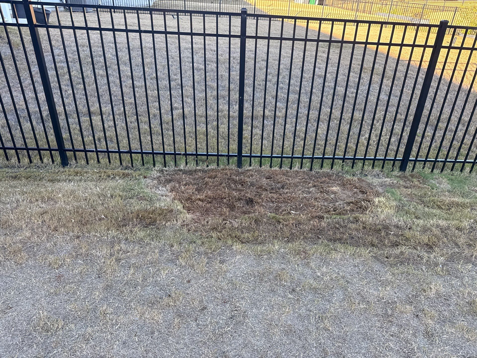 Project in Charlotte by Badger Hauling