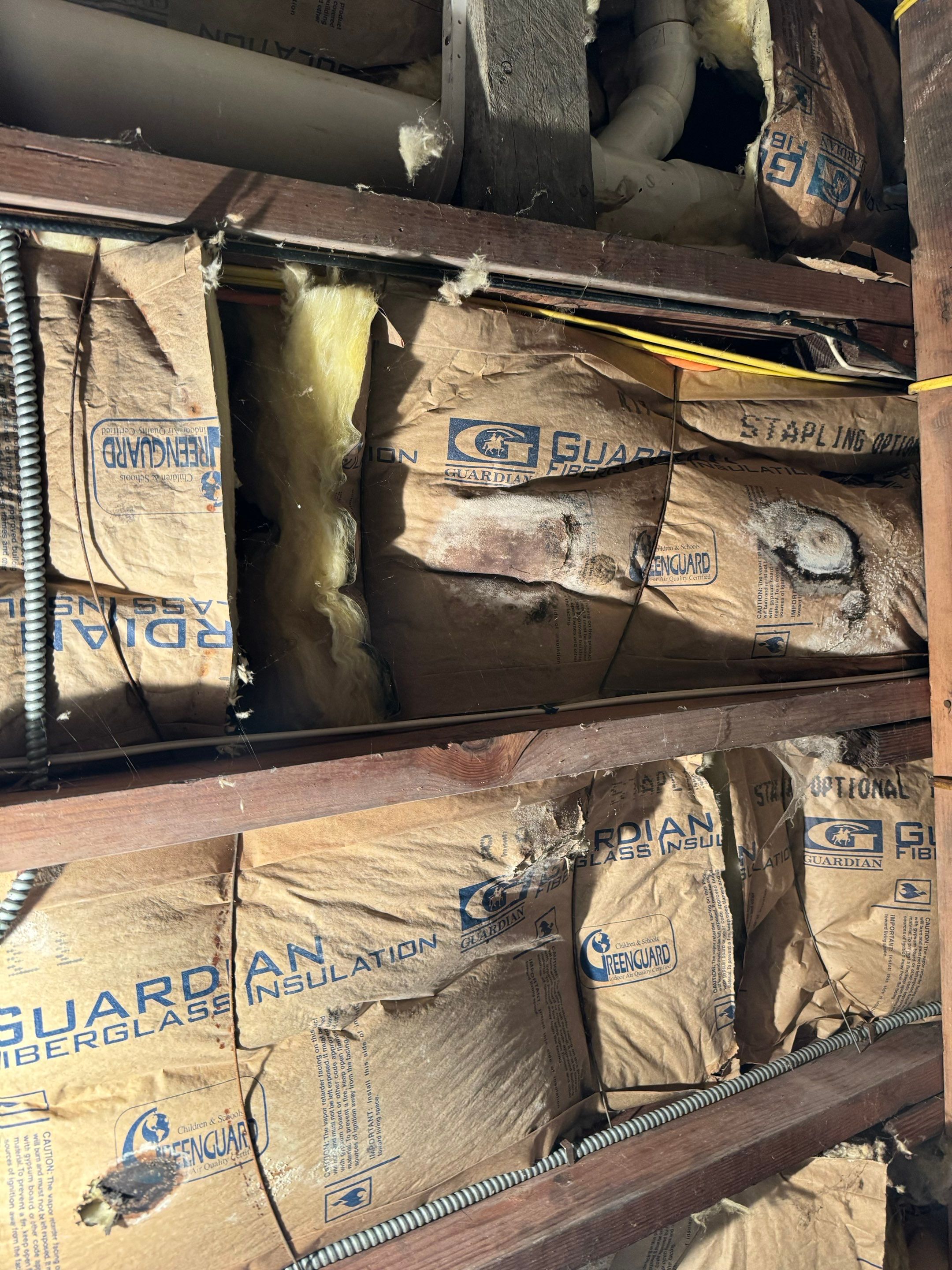 Basement Remediation by Home Guarantee, LLC