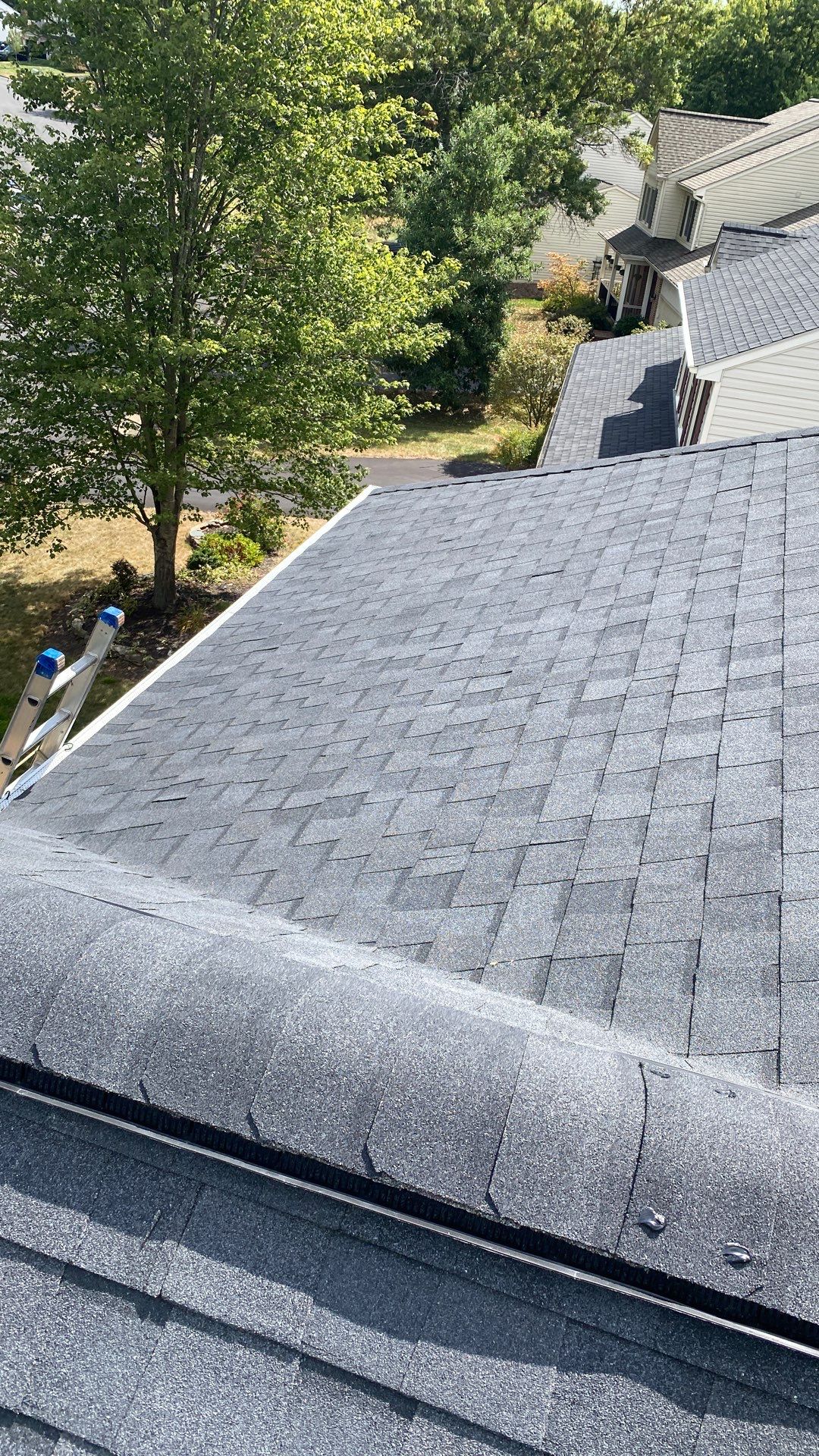 Gainesville: Residential Roof Replacement with CertainTeed Landmark in Moire Black  by RM Banning, Inc.