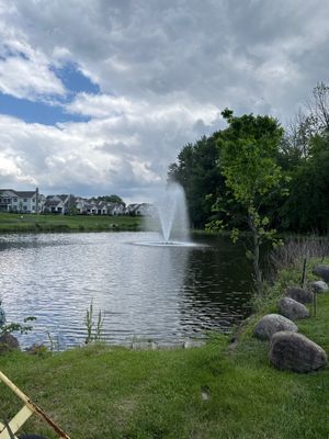 ZAM Installs Transformer for Outdoor Water Feature