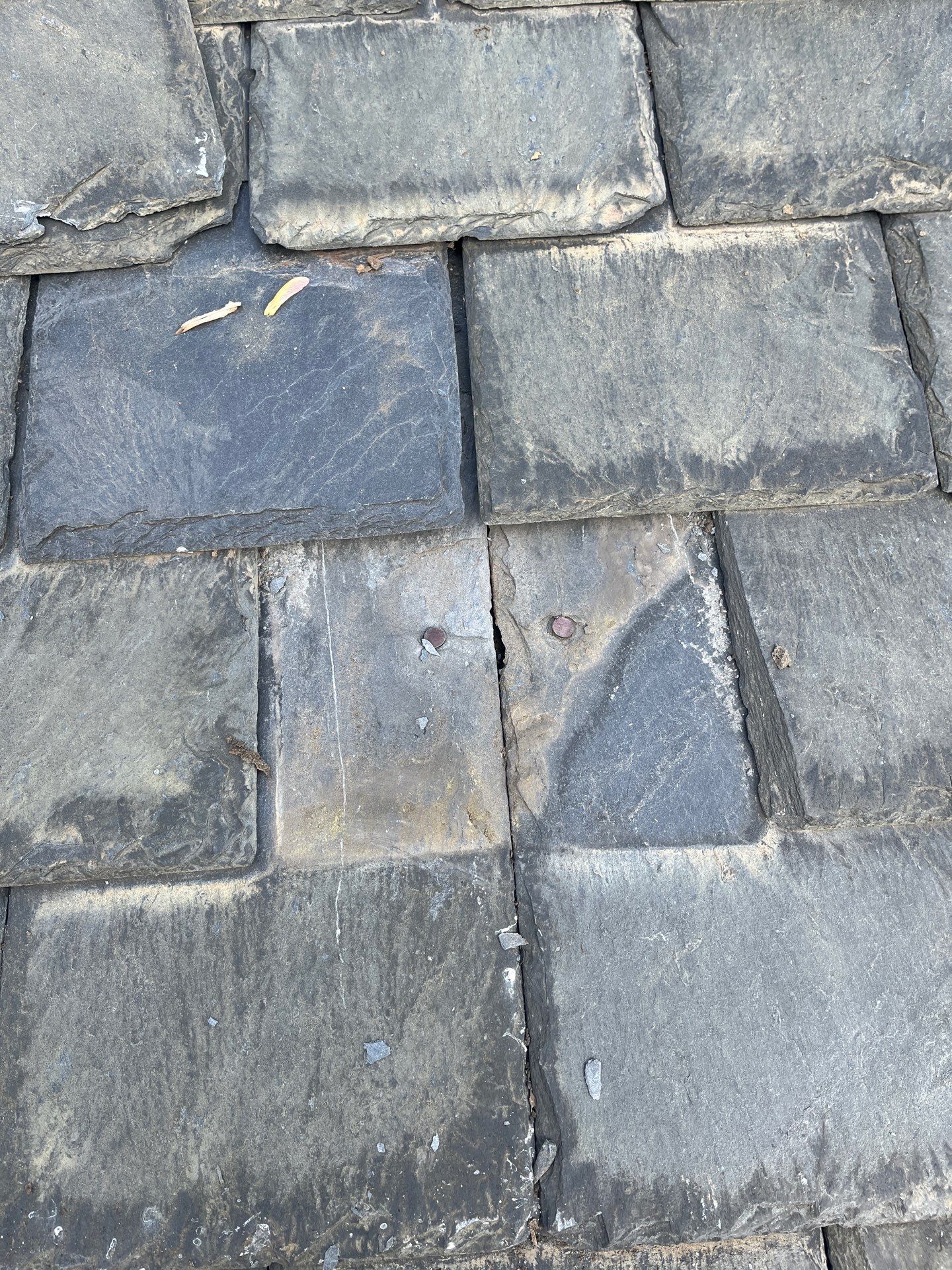 Arlington: Buckingham Slate and Carlisle Syntec TPO Roof by RM Banning, Inc.