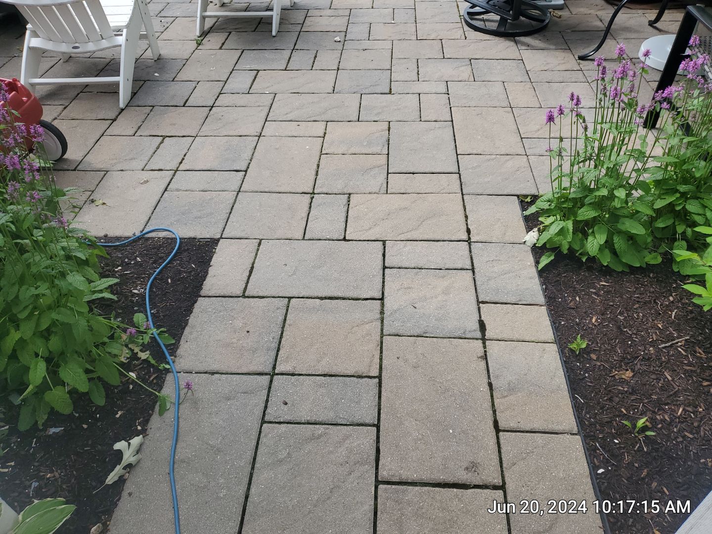 concrete cleaning using Algaecide, soft wash soap by Northern Power Washing LLC.