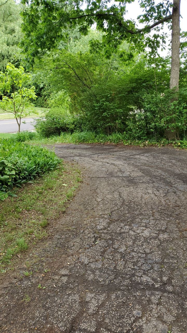 Tree Trimming using Tree Pruing by Mike Jones & Sons Tree Service LLC 