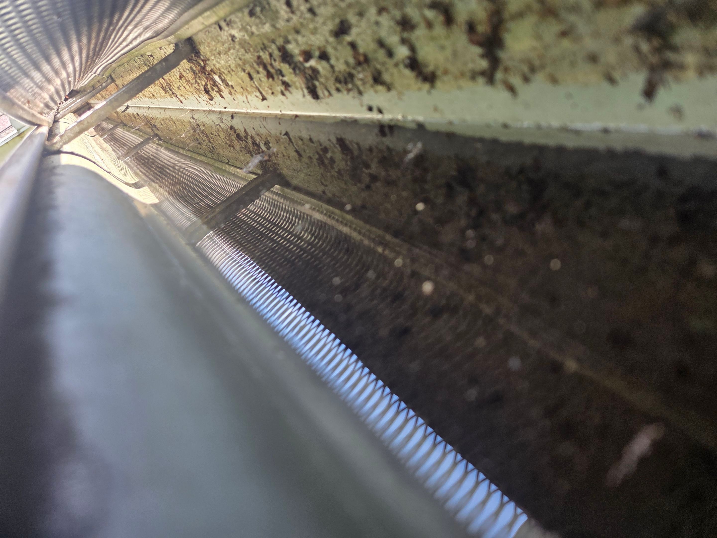 Gutter Cleaning and Debris Removal for Residential System in Crossville by Affordable Pros