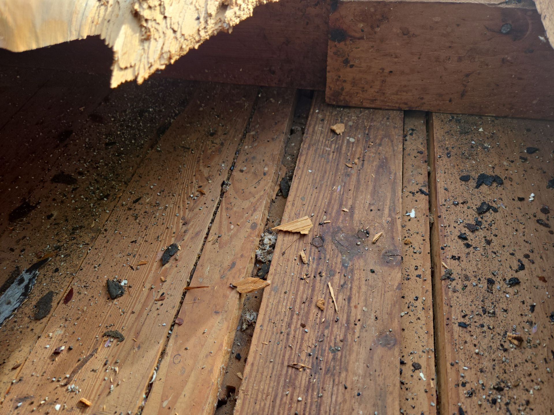 Project in St. Petersburg 33709 by Mitchell Roofing Company LLC 