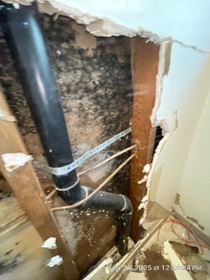 Project in Fresno by 911 Hazmat Cleanup
