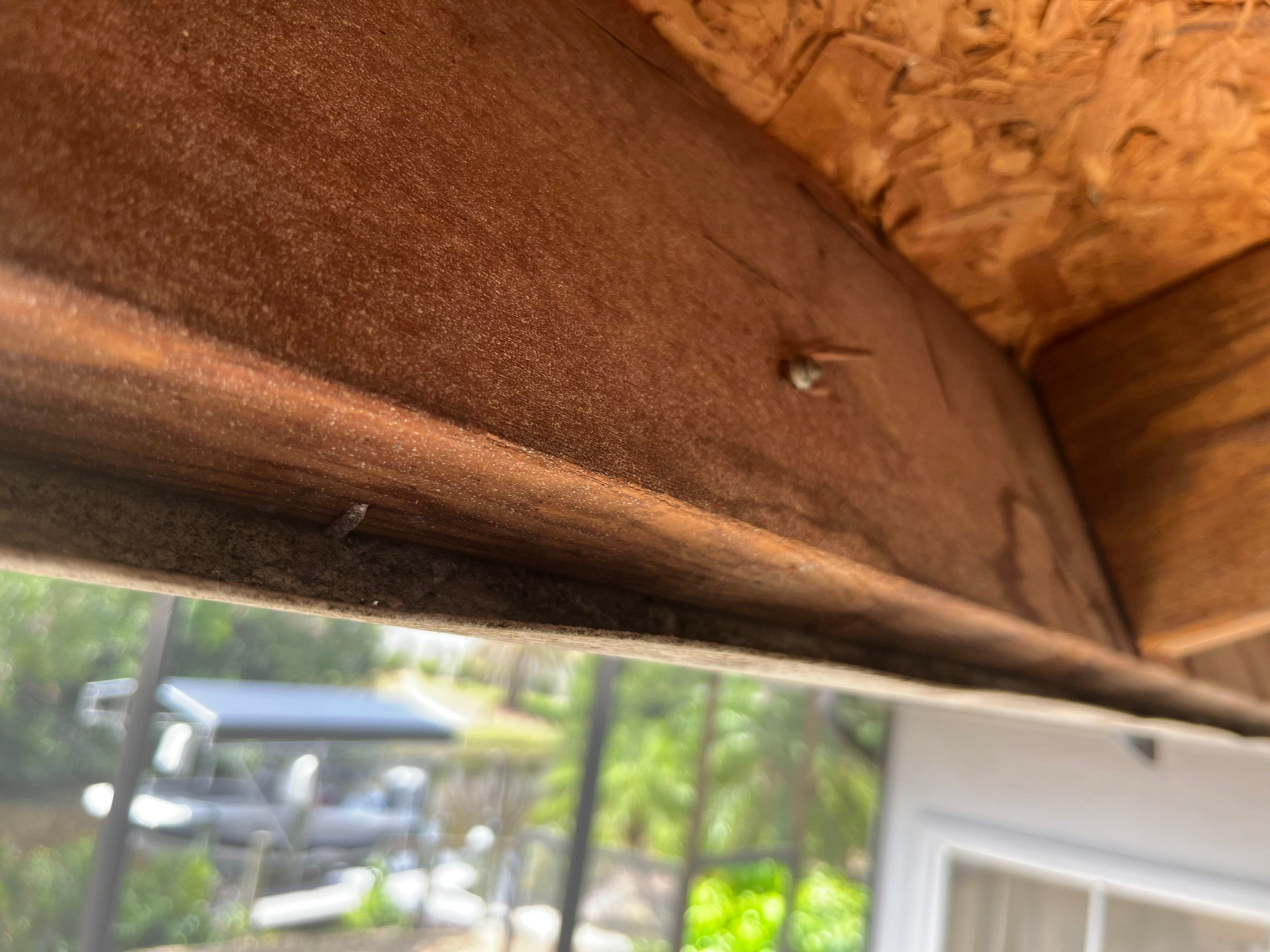 New Soffit and Fascia and Gutters in North Fort Myers FL by Gutter Professors
