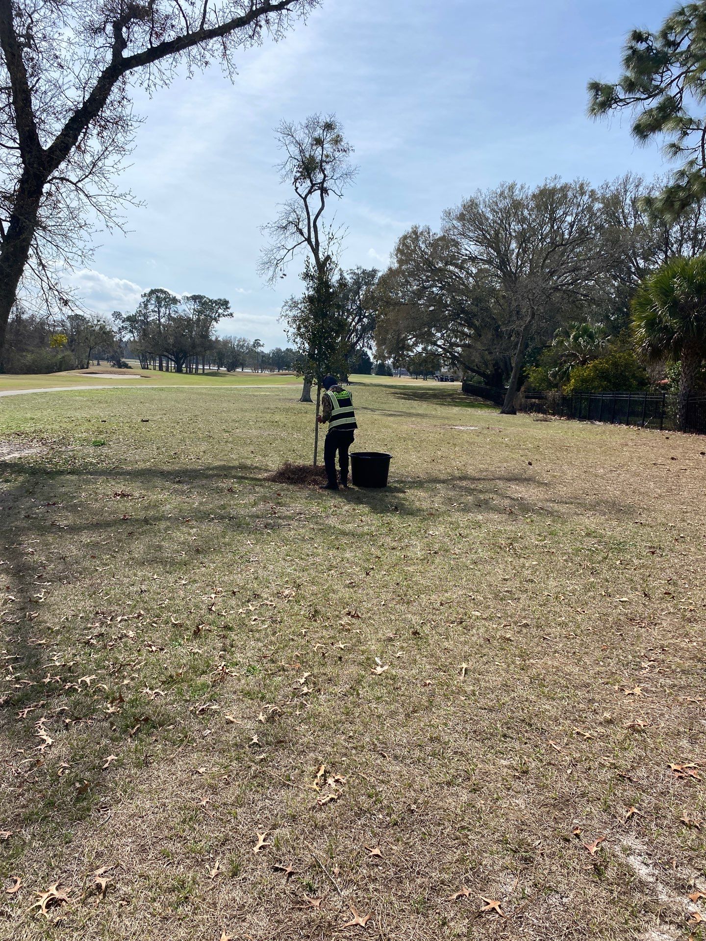 Deerwood Resident | Tree Install by ProGreen Services