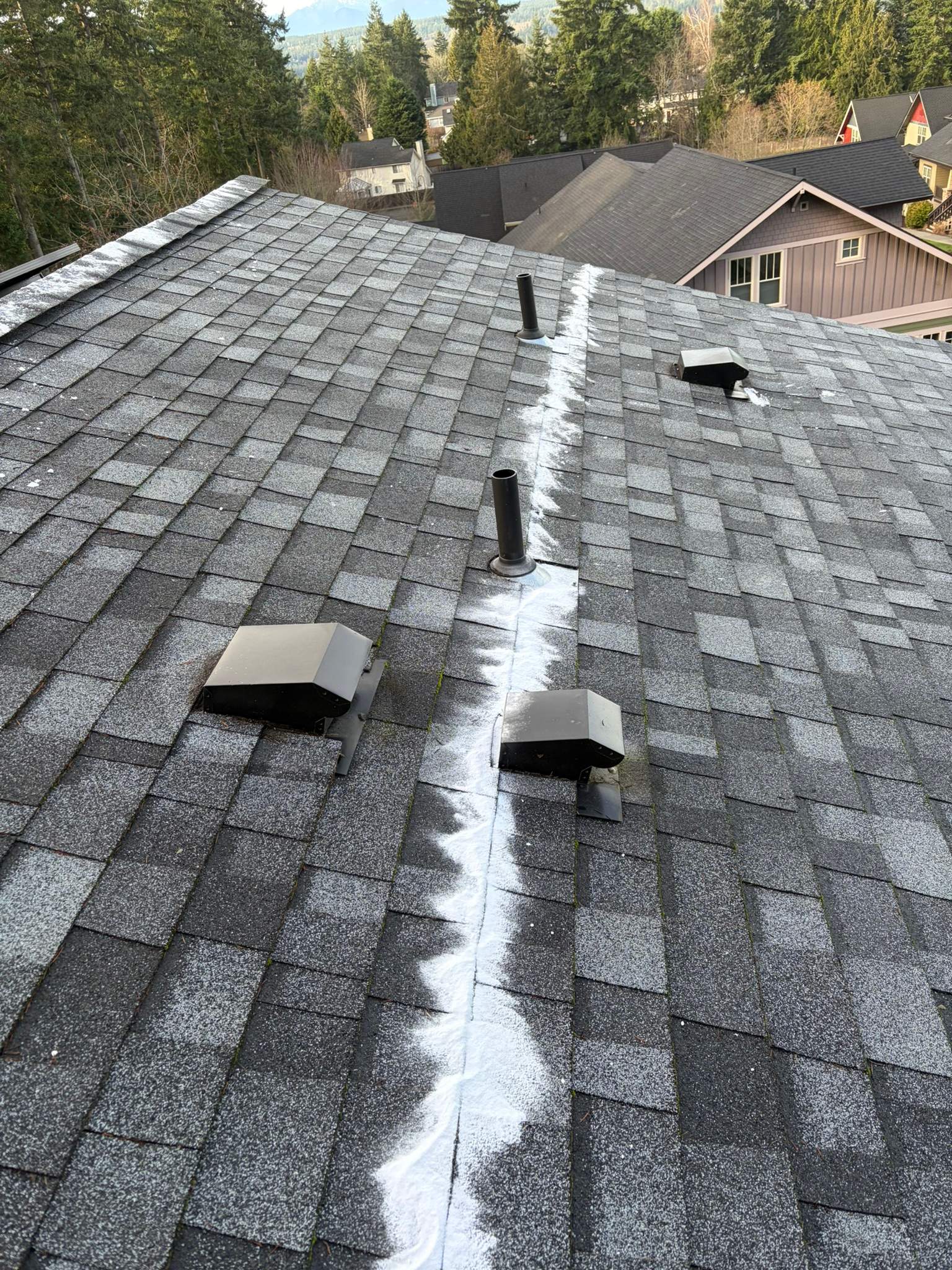 Residential Roof Cleaning in Poulsbo, WA by Hanley Construction