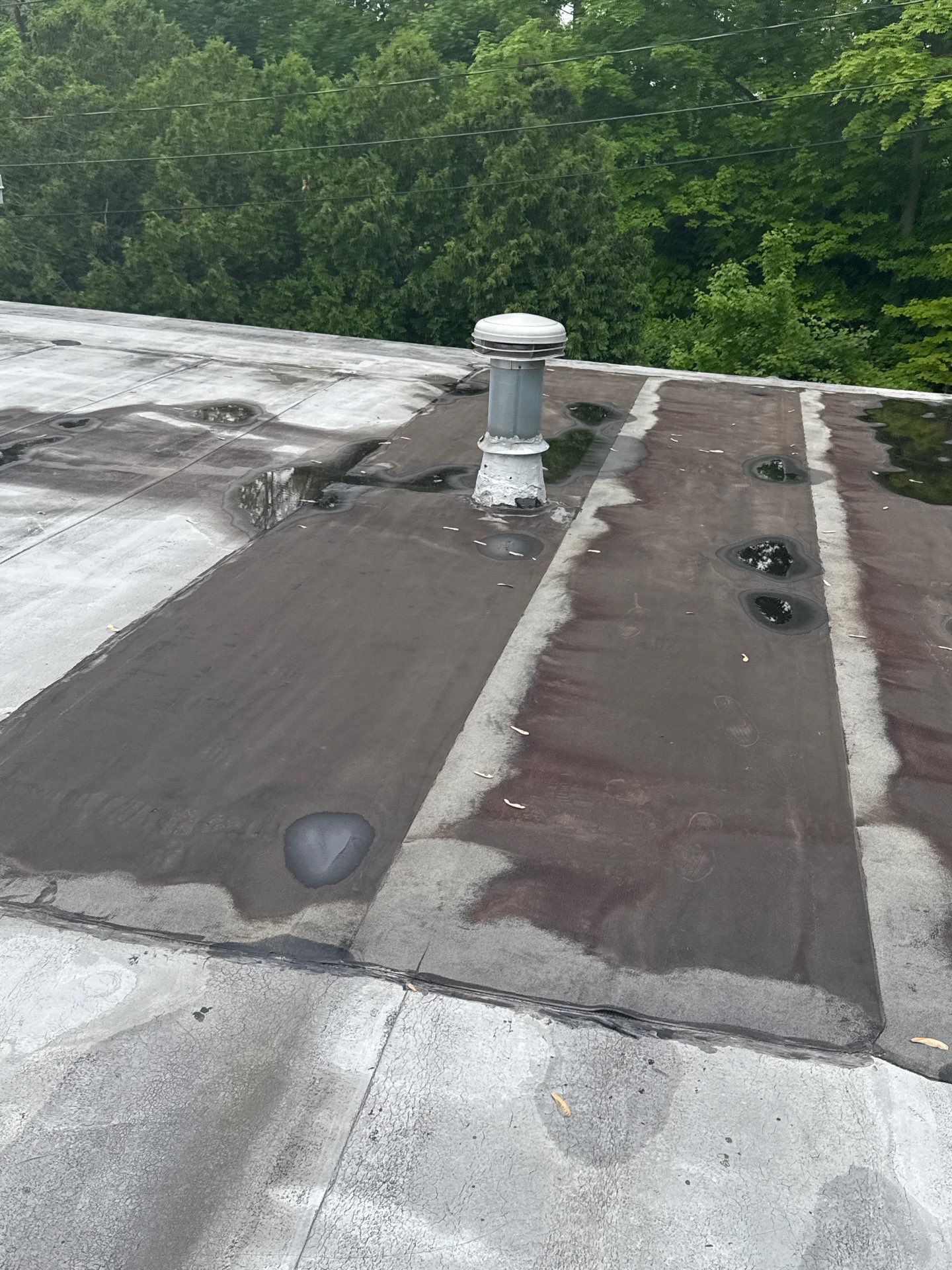 FLAT ROOF by JLP PRO SERVICES LLC