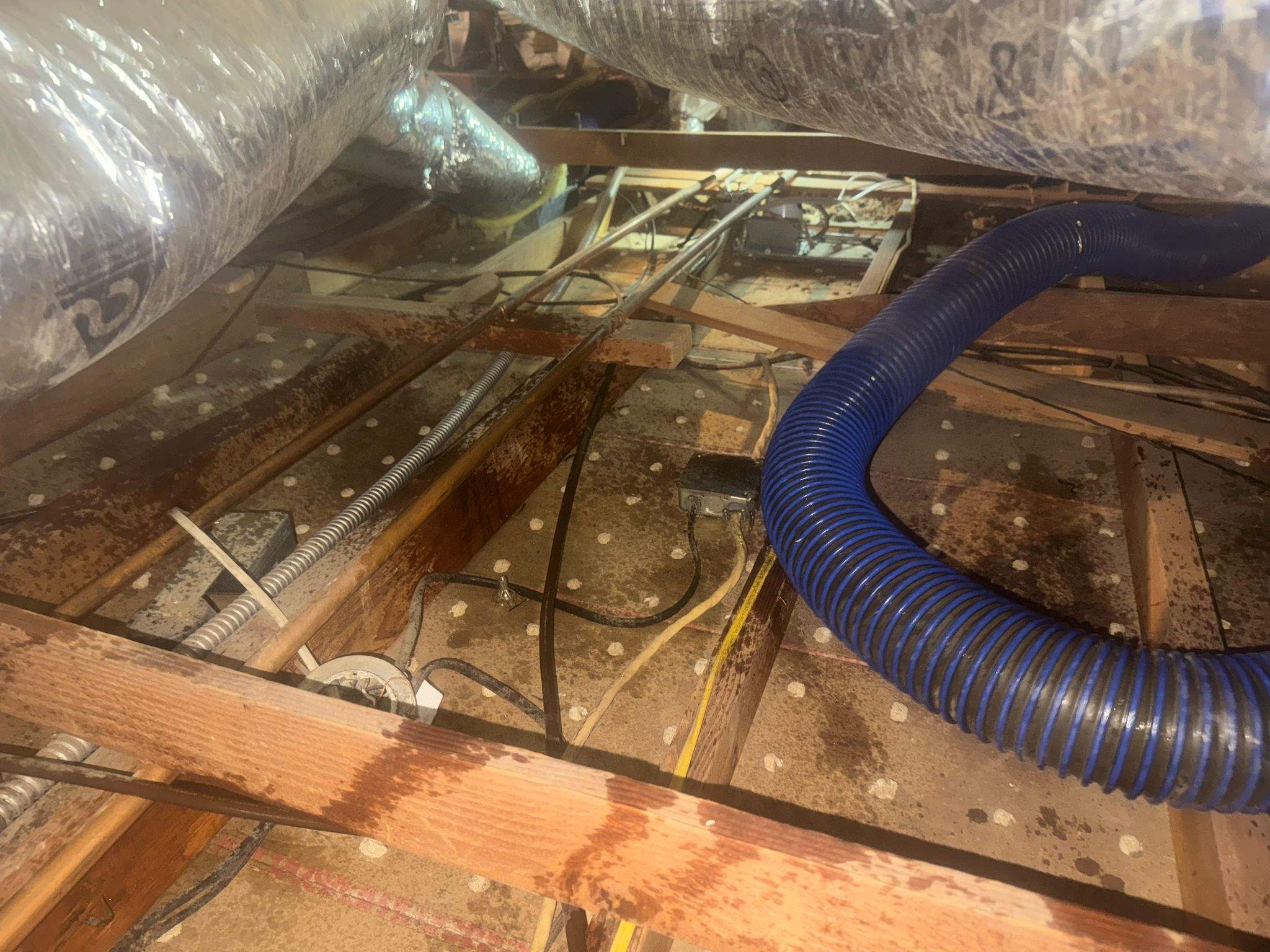 Project in Hastings Ranch Dr by Advanced Attic Solutions