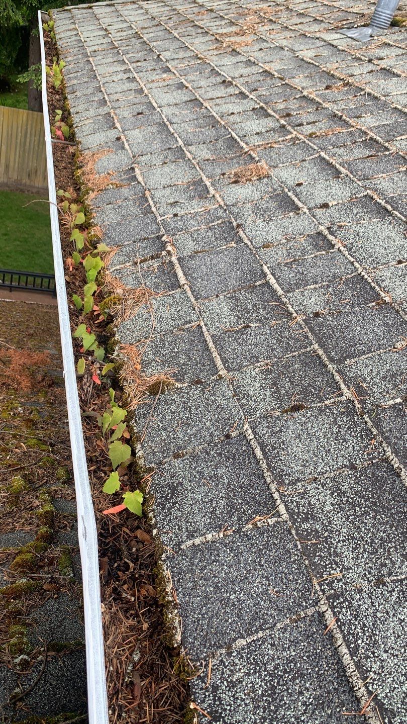 Softwashed in many Years back, and organic regrowth significant by DawnSky LLC