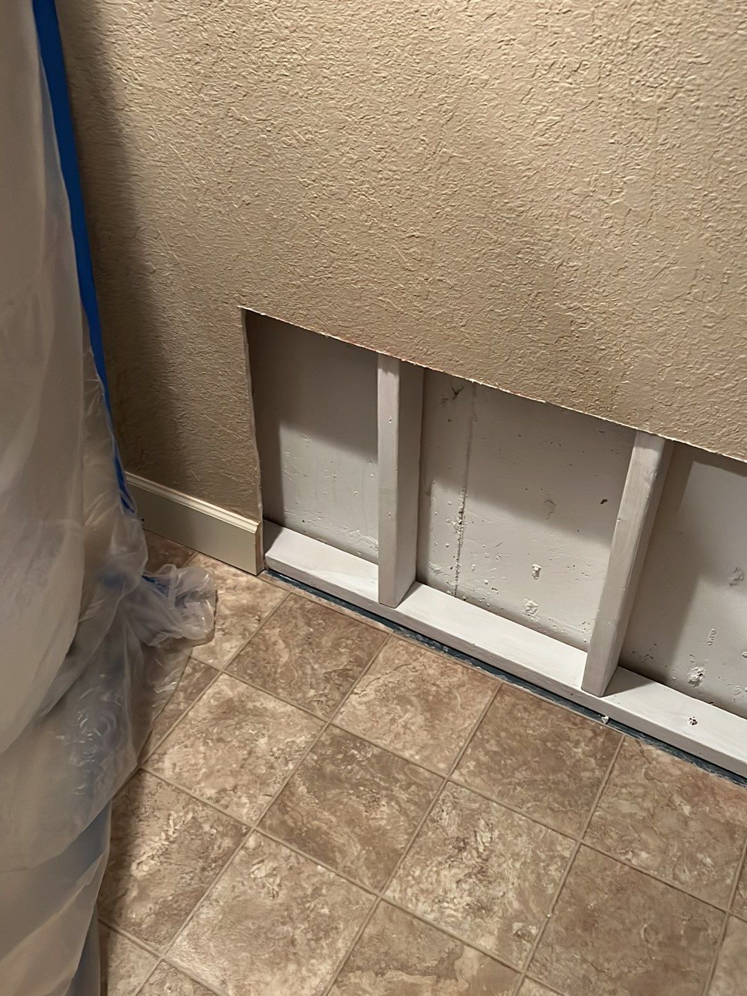 Mold Damage by Accountable Home Services