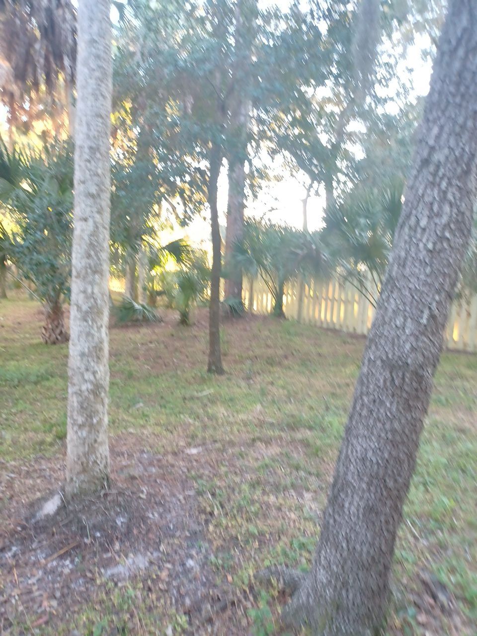 Sarasota, FL 4ft. Tall 3-Rail Aluminum Fence by Asap fence and gates, LLC