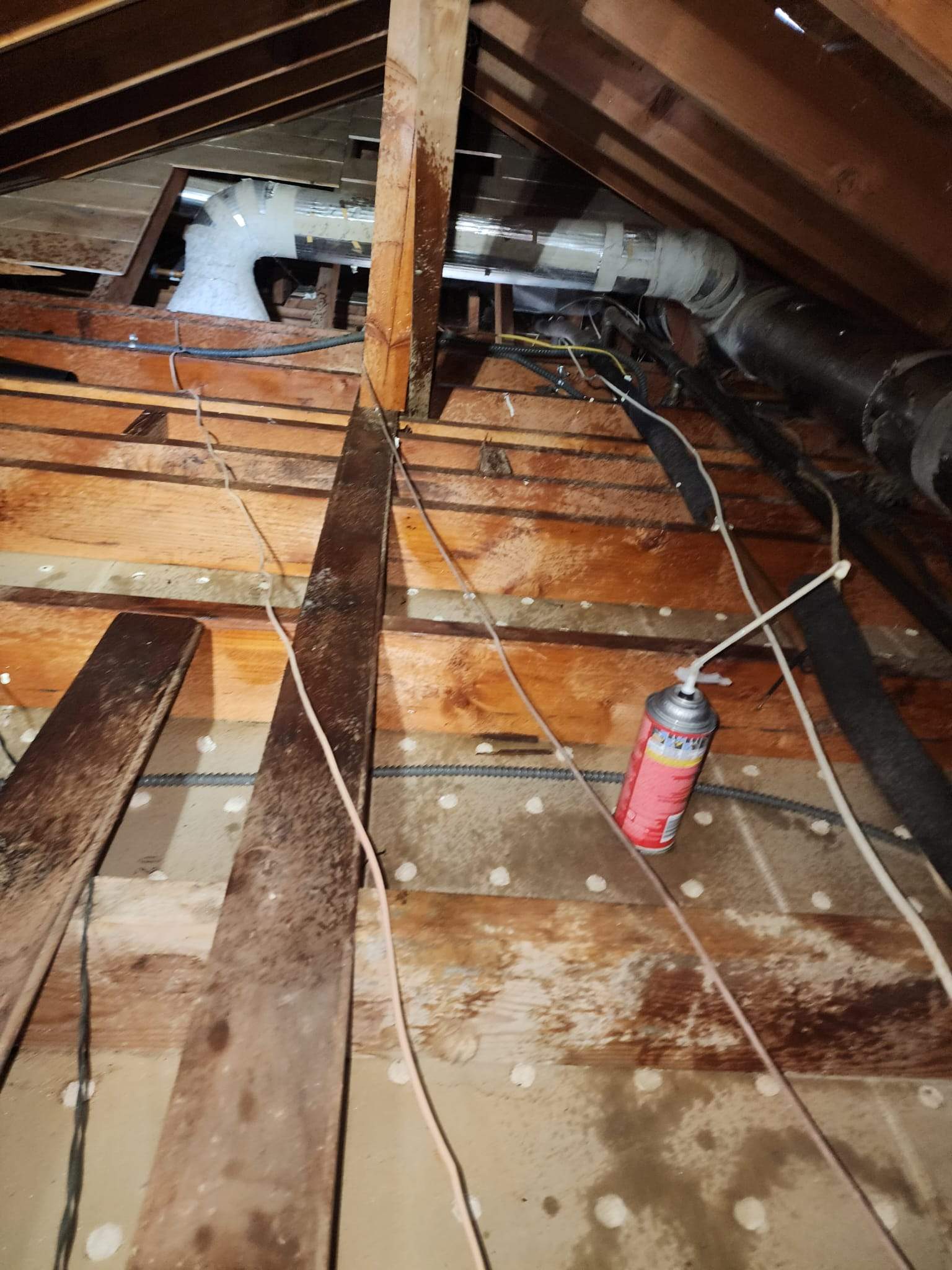 Project by Advanced Attic Solutions by Advanced Attic Solutions