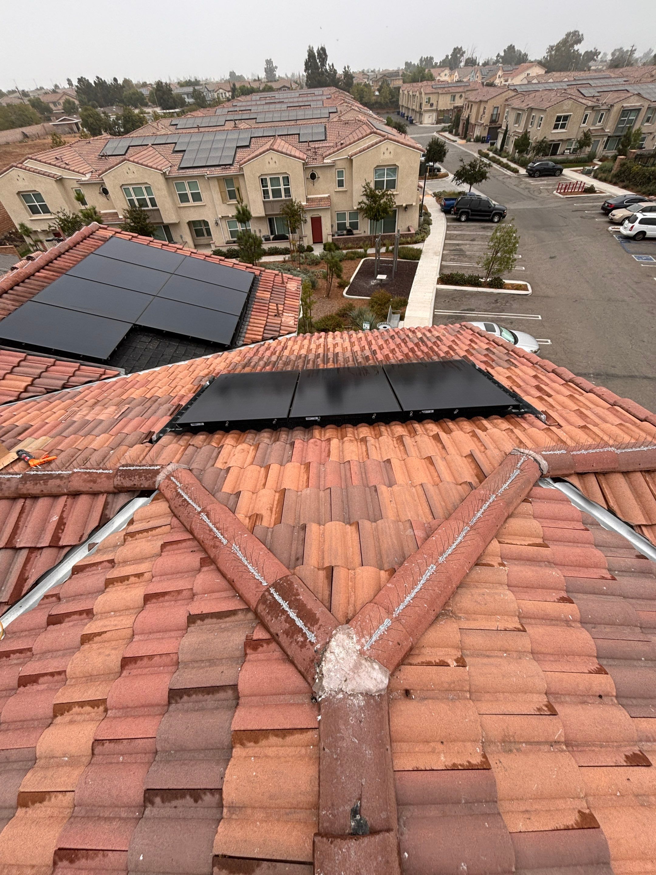 Solar Panel Bird Proofing in Fontana Ca by Palm Coast Solar Cleaning