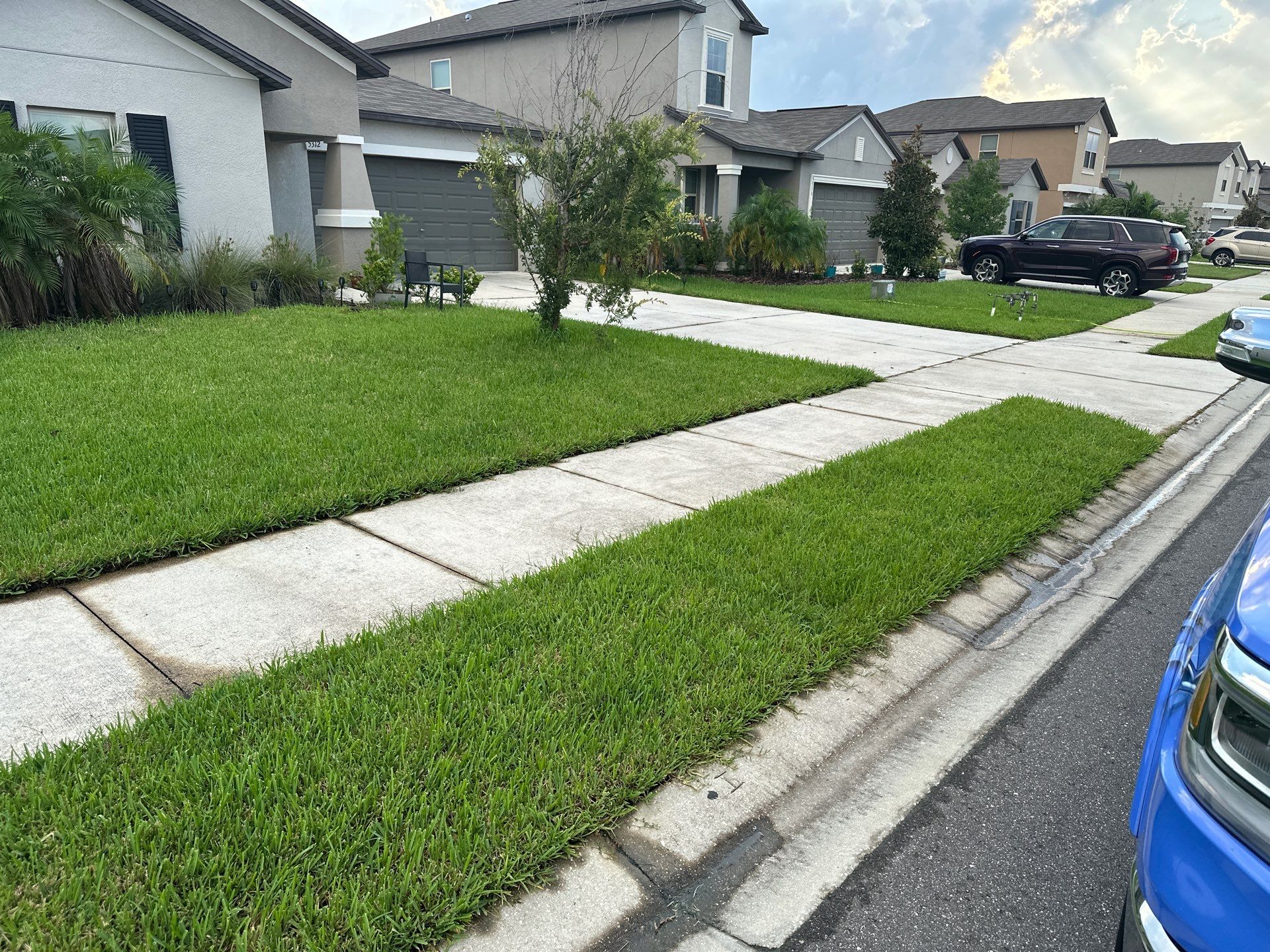 🚿 Concrete Driveway, Sidewalk & Entryway Cleaning – Trevesta Community, Palmetto, FL by Sunshine AquaWash