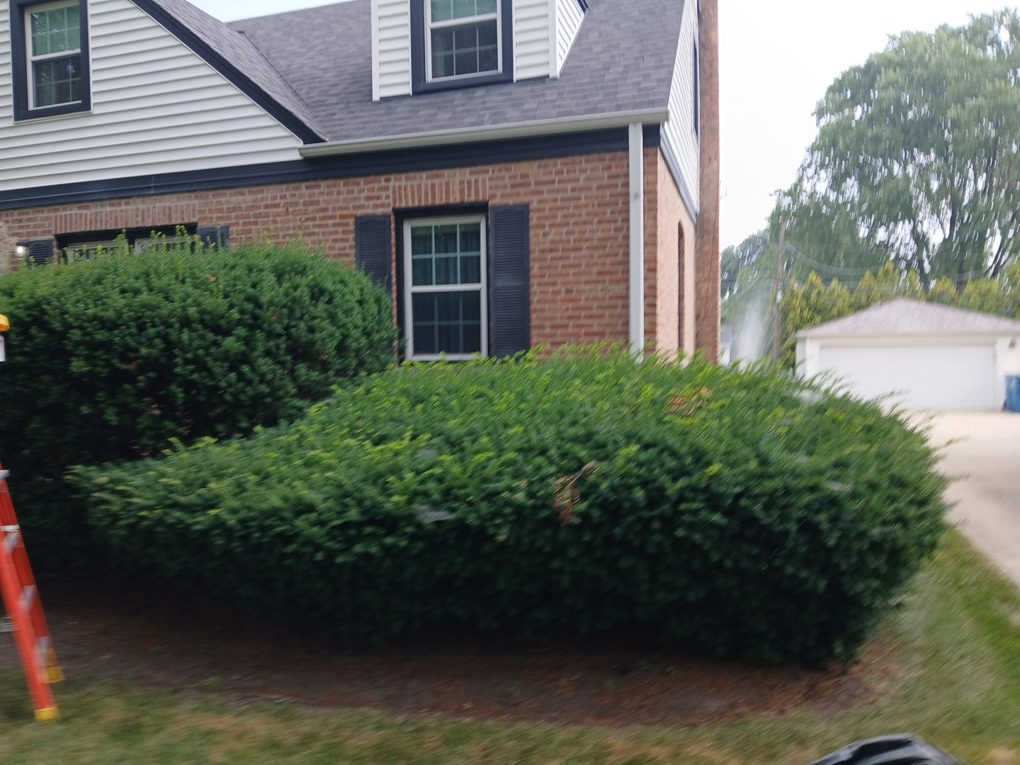 Catherine B. - Mount Prospect, IL by A&N