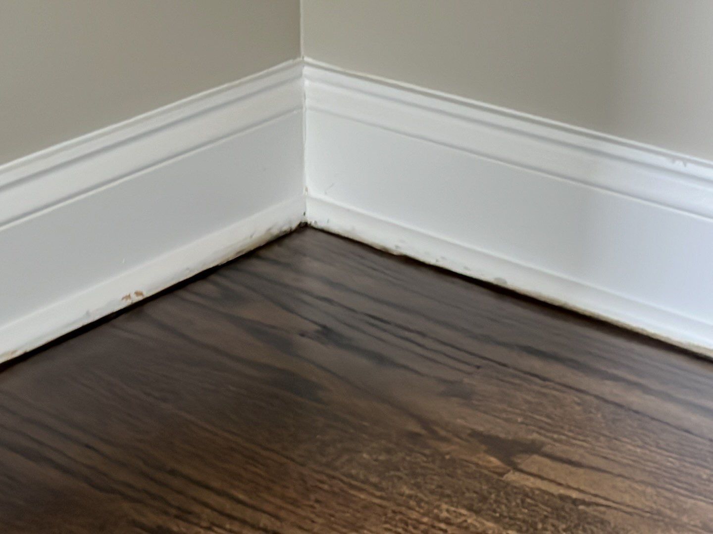 Water Damage by G2
