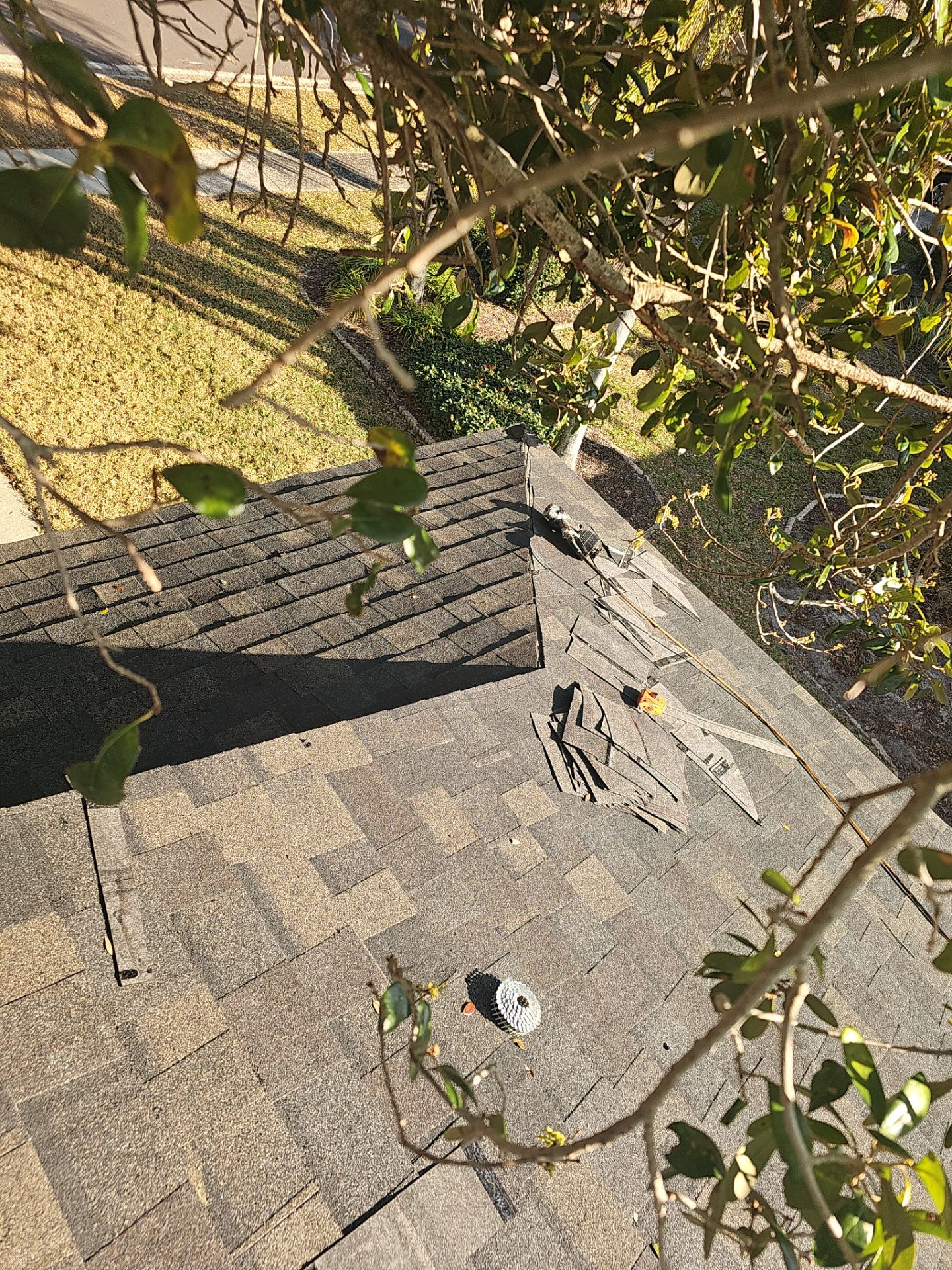 Project in Dunedin 34698 by Mitchell Roofing Company LLC