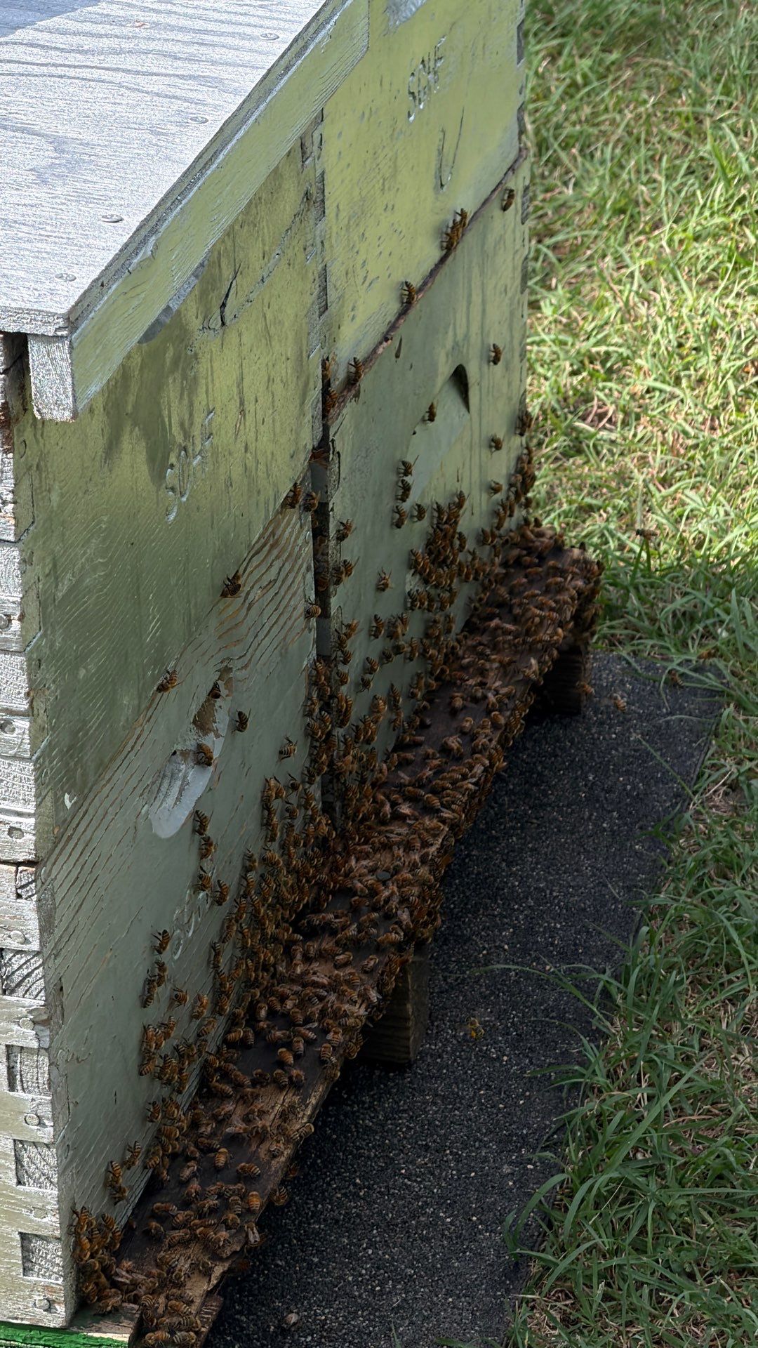 Cavnar Gang-Busters by Rockwall Honey Bee Company