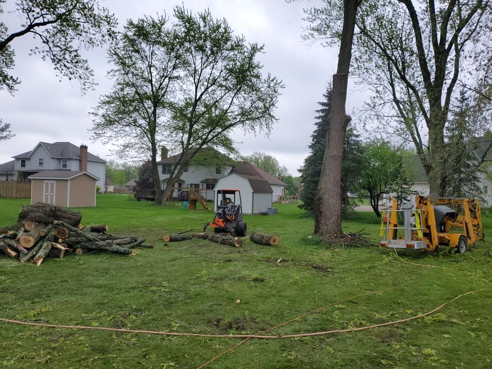 Tree Removal using Tree Removal by Mike Jones & Sons Tree Service LLC 