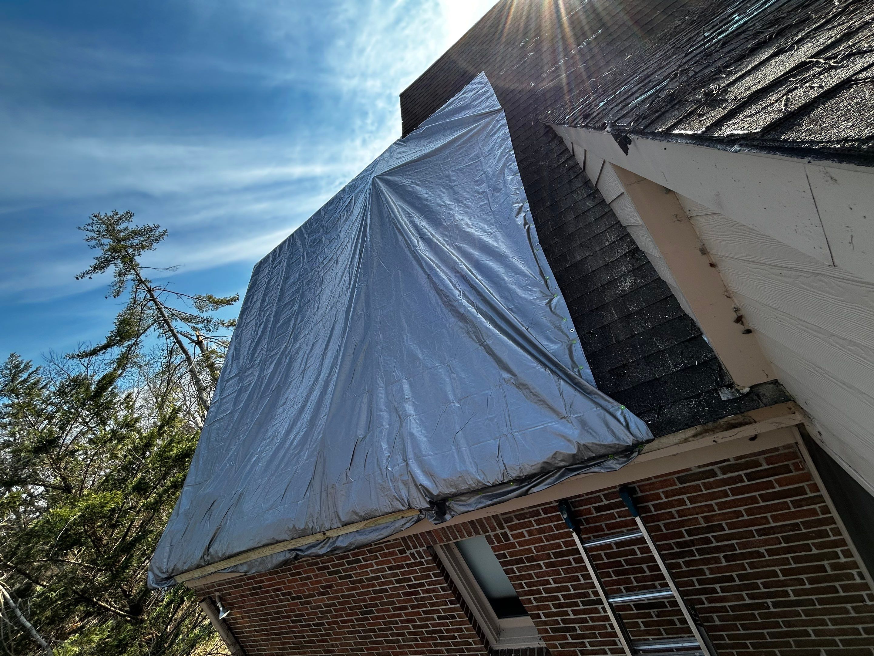 Roof Tree Damage- Repair Roof Framing and Replace Shingle Roof System In Belle Meade  by Roofworx 