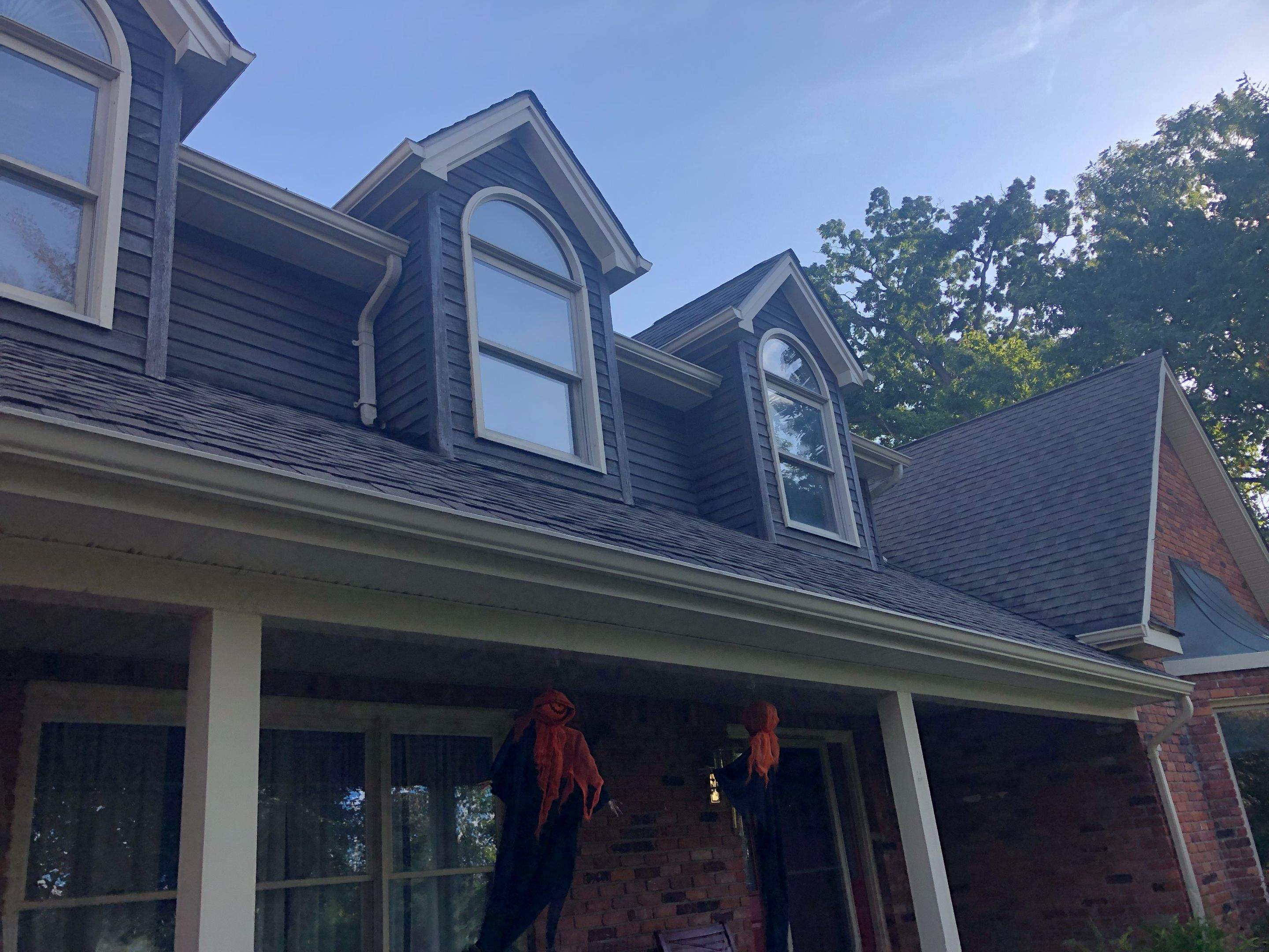 Window Replacement by Ivy Lea Construction