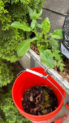 Turtle Shell gutter protection installation in Warrenville, IL 60555, photograph 8