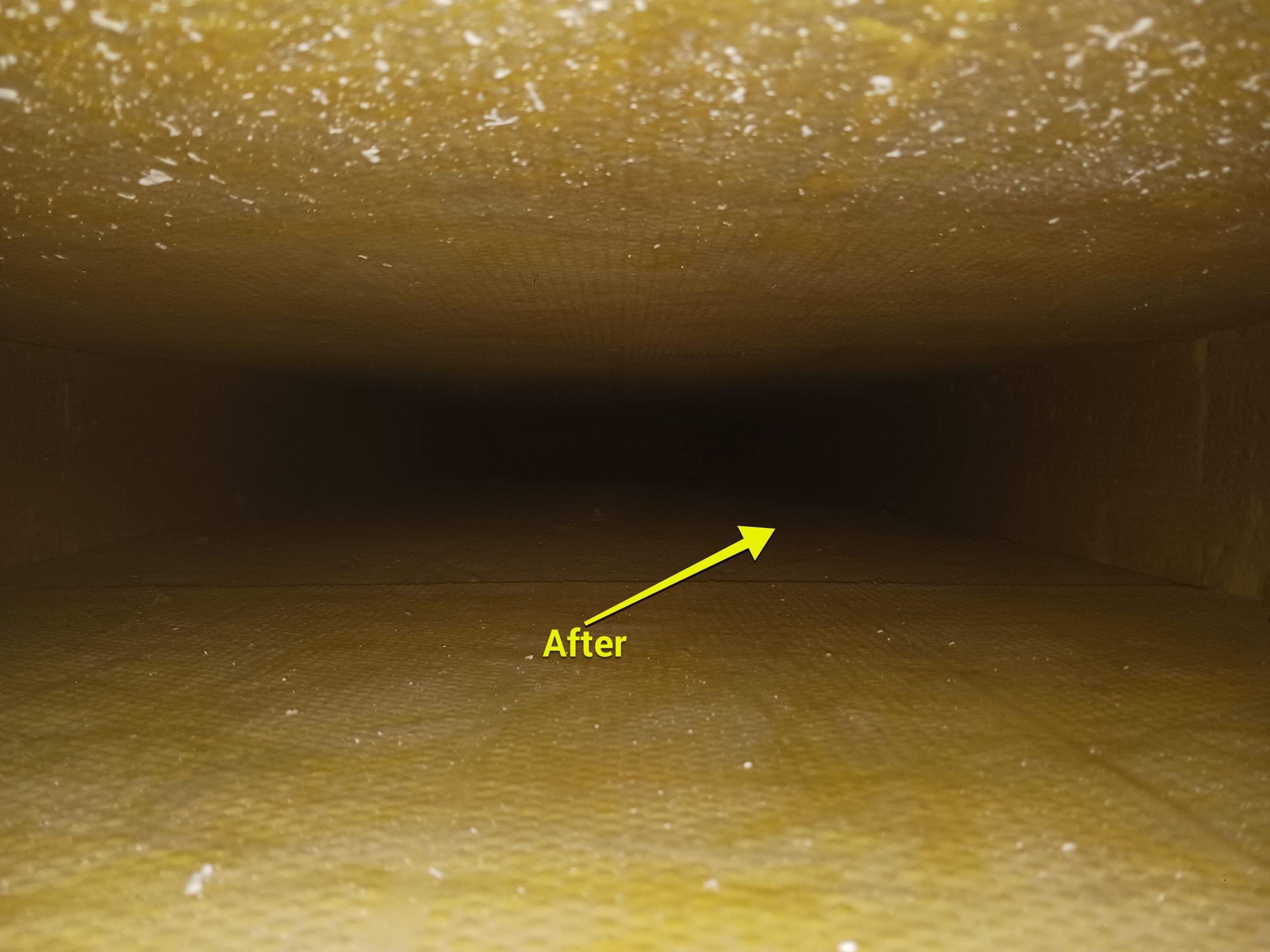 Commercial Air Duct Cleaning in Leesburg by Hygienic Air, Inc