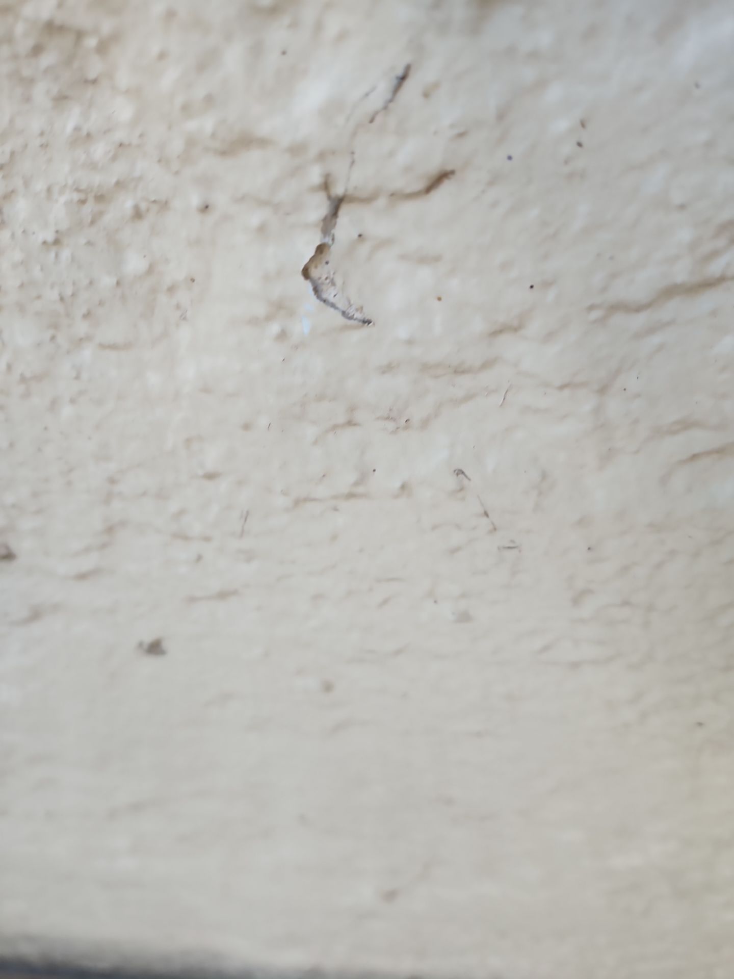 Project in Largo by Sunbelt Home Solutions