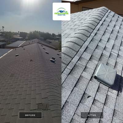 Silver Birch Shingles