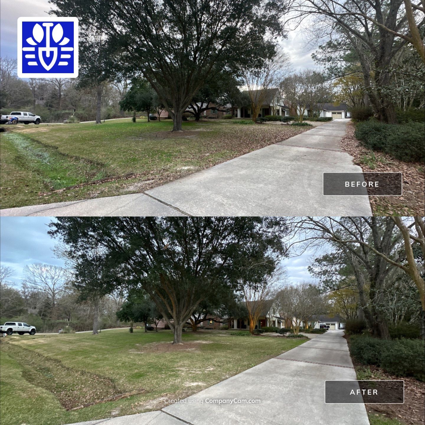 WINTER SERVICES: FULL LEAF JOB by CutScape, LLC.