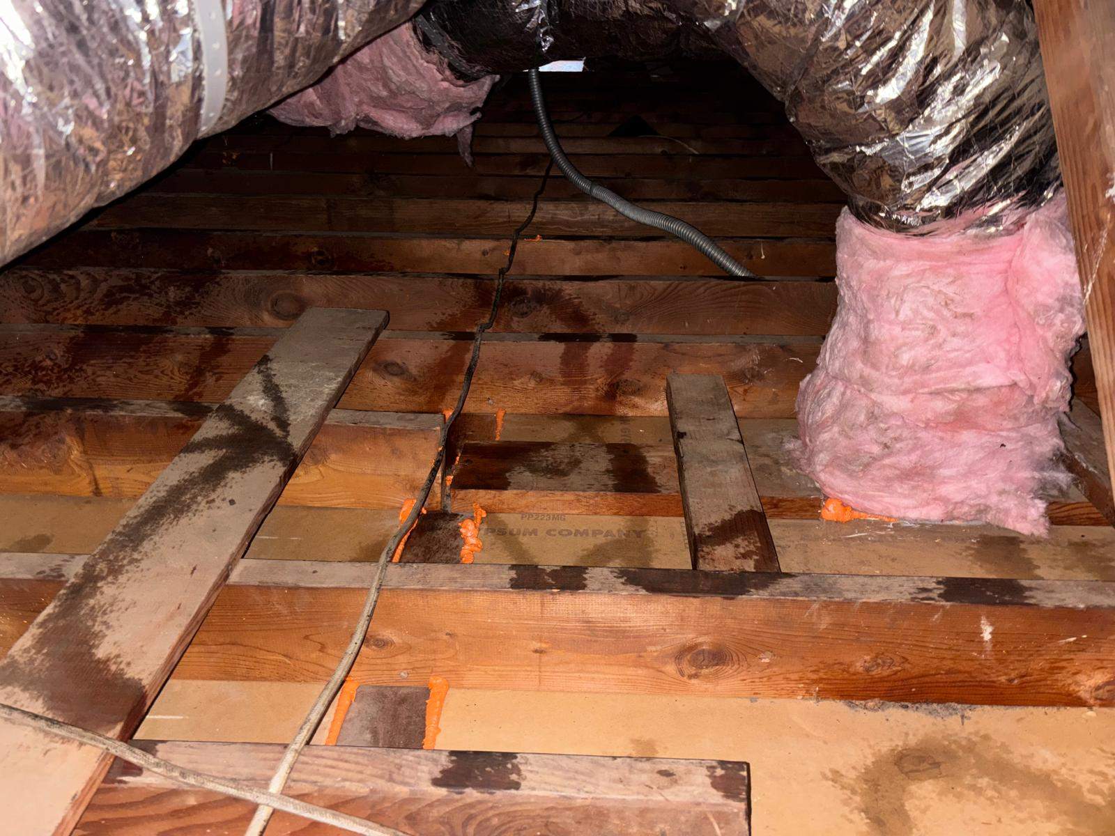 Project in Placentia by Insulation Labs