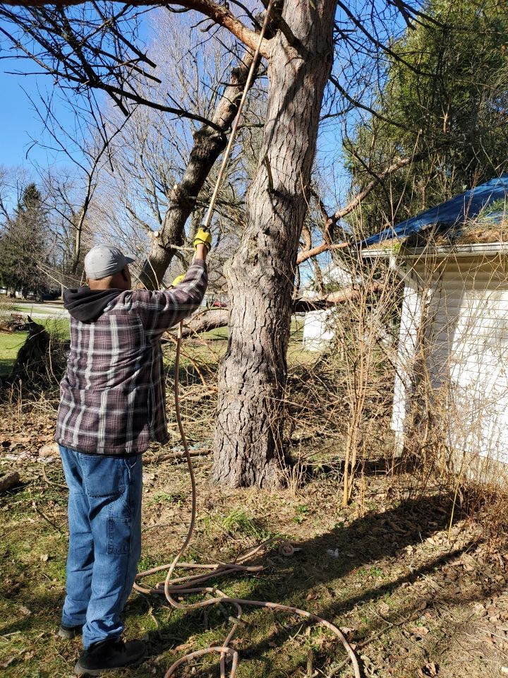 Storm Damaged Tree Removal  using Tree Removal by Mike Jones & Sons Tree Service LLC 