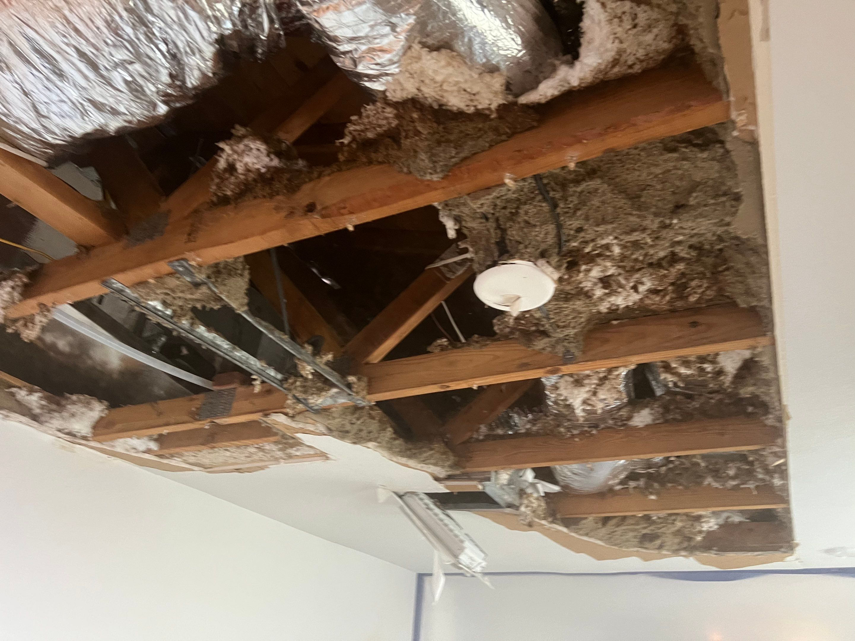 Windstorm Damage & Multi-Room Water Mitigation in St. Petersburg by Right On Time Restoration