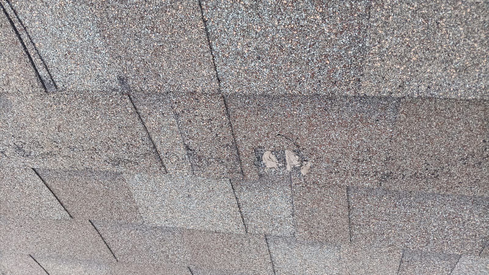 Hail Damage using Owen's Corning Duration (Lifetime) Shingles by Roof Repair Company