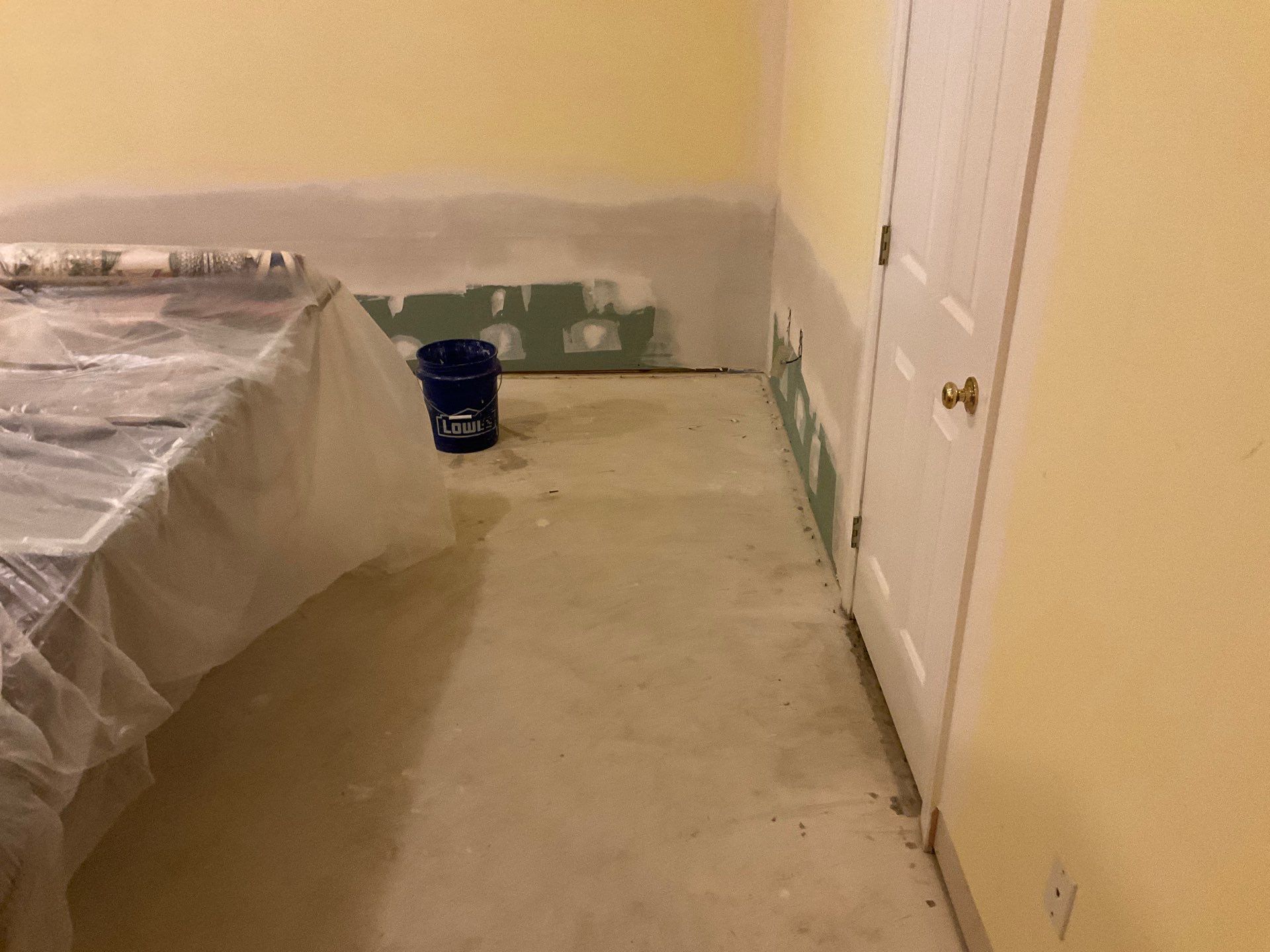 New Gutters, New Floor, New steps, New Paint job by Alpha Design Services