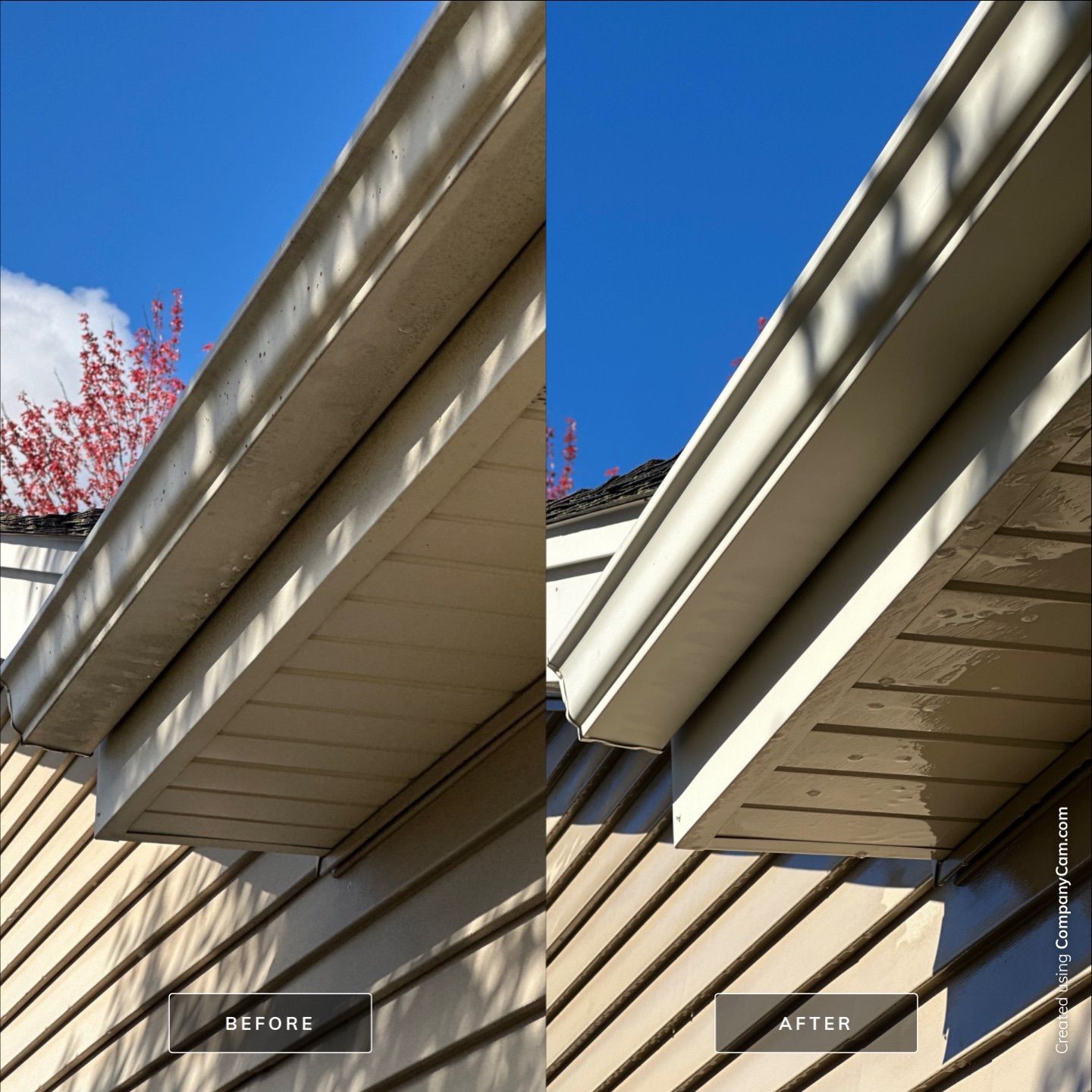 Project in Arlington Heights by Simmons Power & Soft Washing