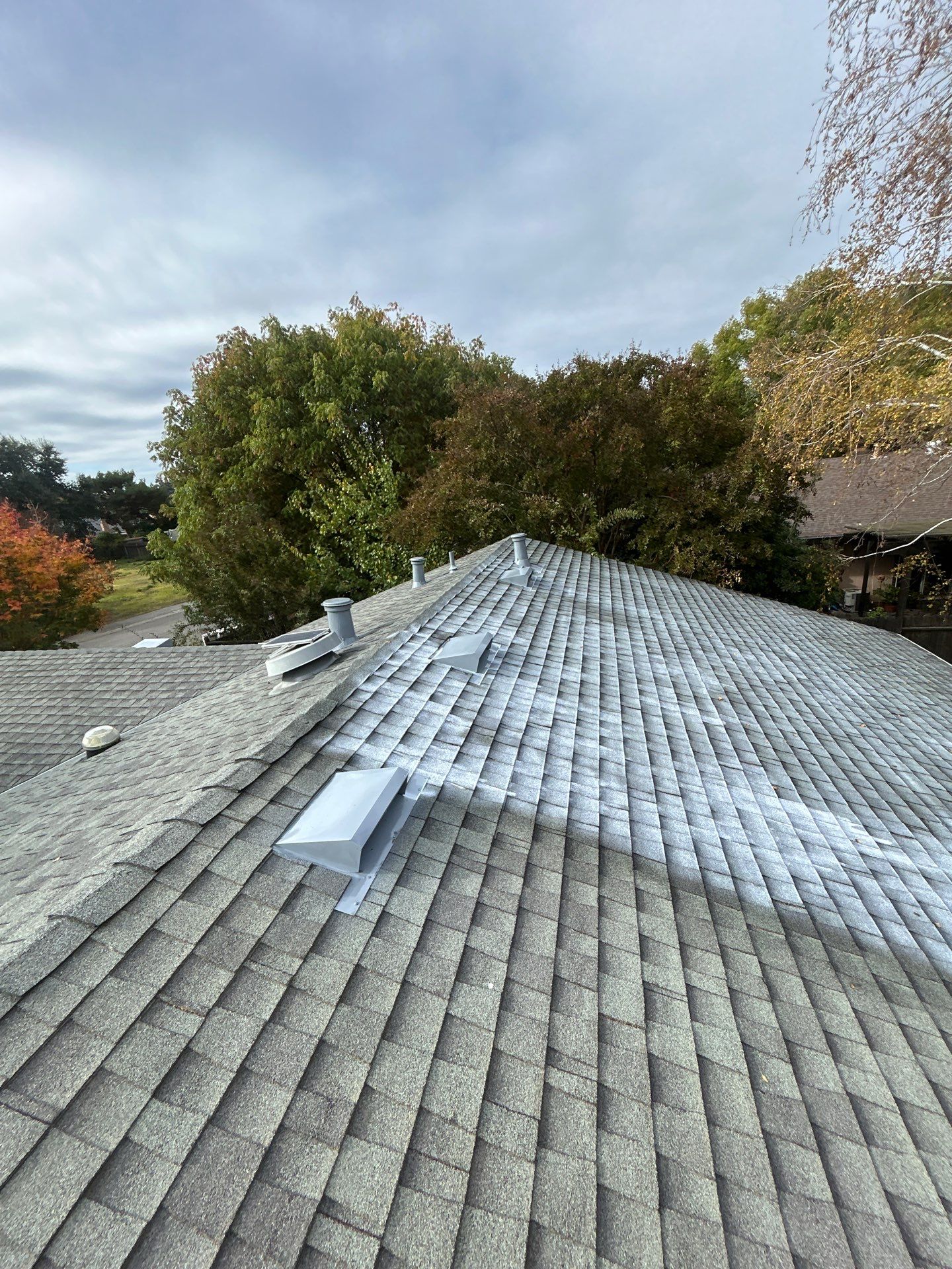 Roof Rejuvenation using Roof Maxx Treatment by Roof Maxx of Folsom