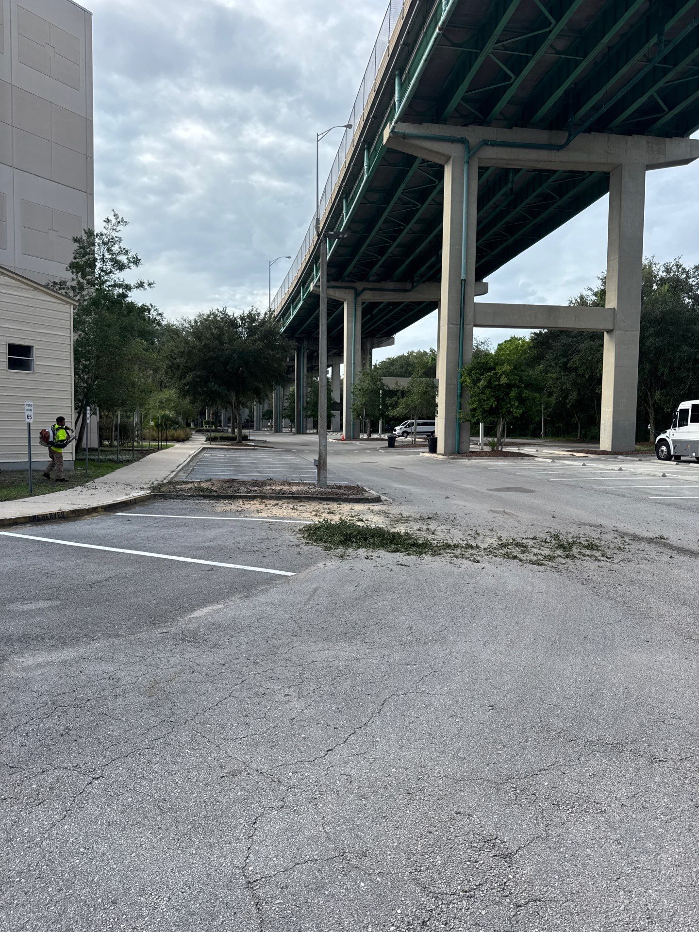Episcopal - Munnerlyn Campus | Tree Removal by ProGreen Services