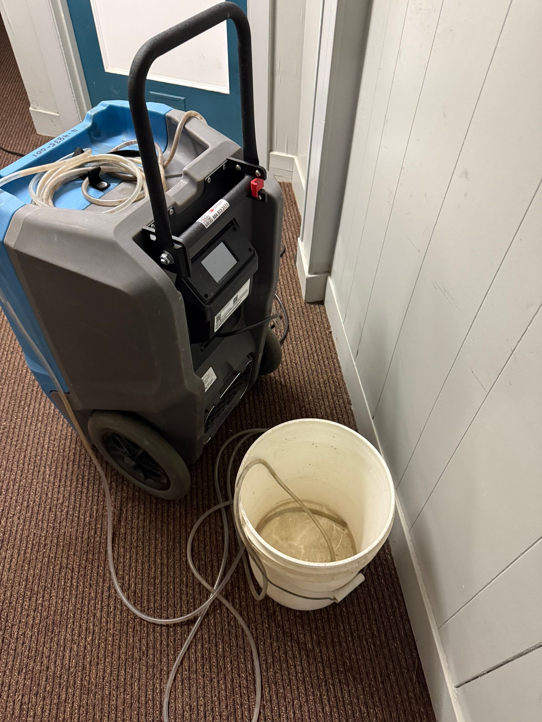 Flood Restoration by YVR Construction Group